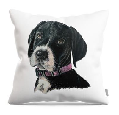 Pet portrait pillow by artist Barbara Andrews