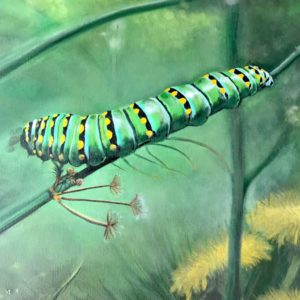 Larva on milkweed by artist Barbara Andrews