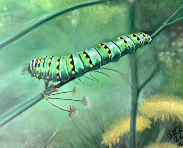 Larva on milkweed by artist Barbara Andrews