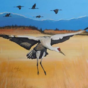 Sandhill crane landing by artist Barbara Andrews