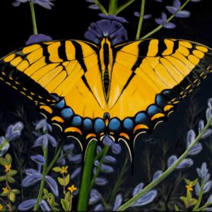 Swallowtail butterfly on Russian sage by artist Barbara Andrews