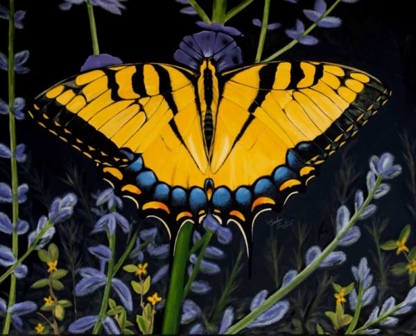 Swallowtail butterfly on Russian sage by artist Barbara Andrews