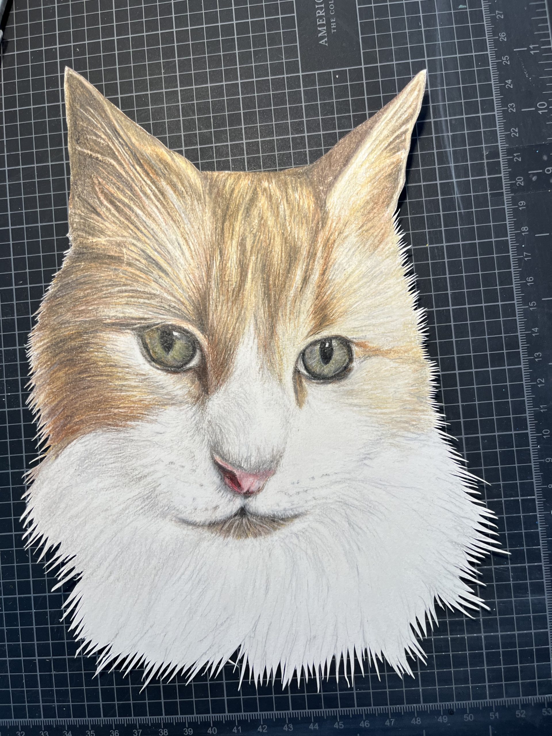 Cat portrait phase 4 Trimmed